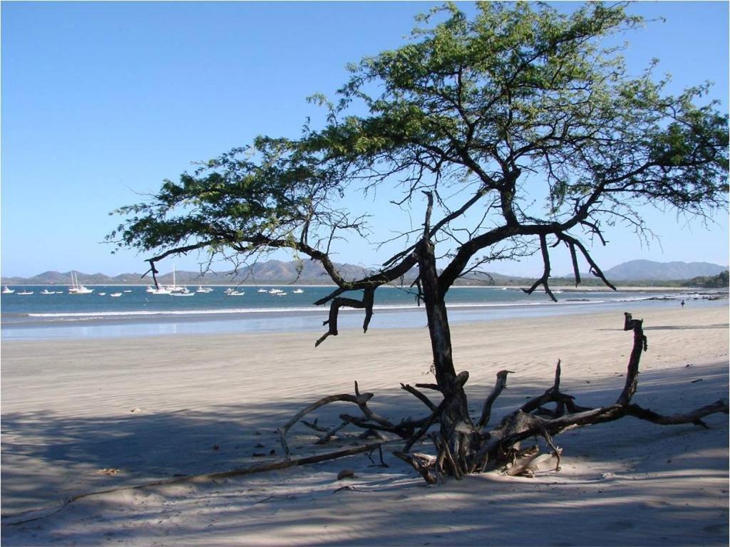 Jet Luxury At Langosta Beach Resort & Villas Tamarindo Exterior foto